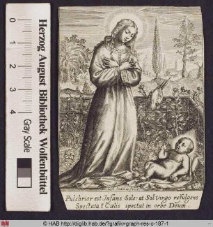 Maria und das auf einem Tuch liegende Christuskind in einem hortus conclusus mit Marien- und Passionssymbolen.