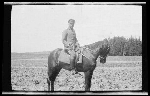 Offizier auf einem Pferd vor einem Feld, im Hintergrund ein Waldrand (Seitansicht)