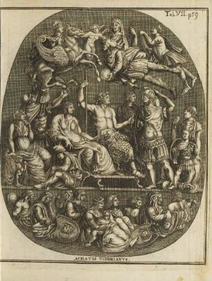 Abbildung: Tab. VII. p. 49