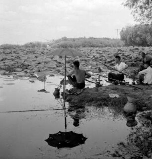 Wuhan (China). Angler am Ostsee (East Lake)