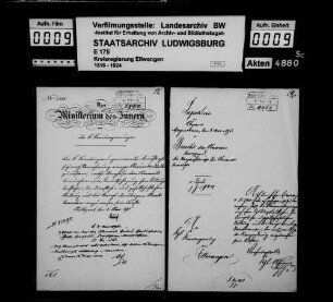 Oberamtstierärzte, Allgemeines