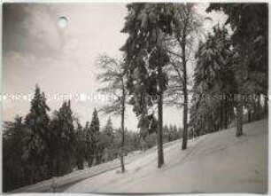 Winterlandschaft, Taunus