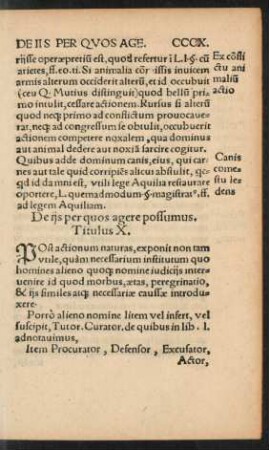 De iis per quos agere possumus. Titulus X.
