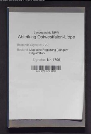 Dienstanweisung für Bauerrichter als Steuerbediente vom 22.06.1910