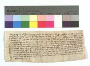 Der Scholaster von St. Peter zu Mainz vidimiert die Urkunde U / 1320 Juli 3. S.: Aussteller. "Datum 1320 XVII Kal. Septembris".
