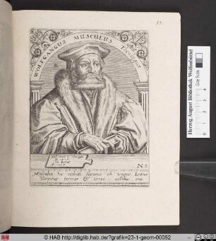 [Wolfgangus Musculus].