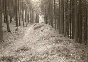 Staupenberg : Mittelsachsen. Der Staupenberg unterhalb (Wallwitz-)Westwitz. Teilstück des nördlichen Ringwalles