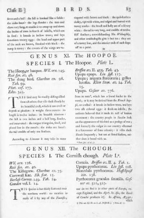 Genus XI. The Hoopoe