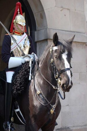 Wache der Horse Guards, Westminster