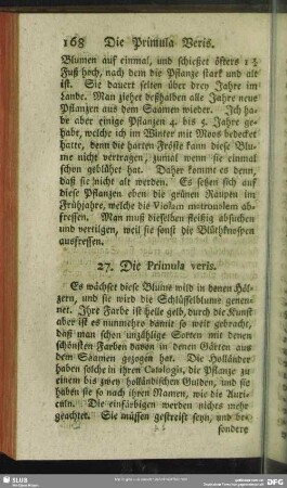27. Die Primula veris