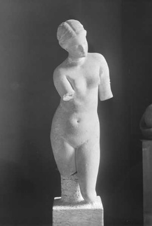 Torso einer Venus