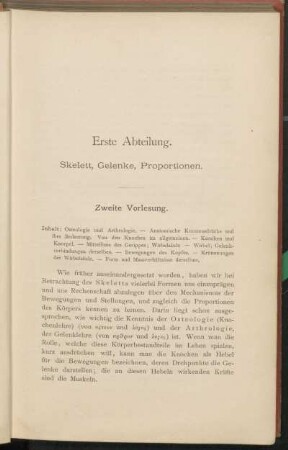 Erste Abteilung. Skelett, Gelenke, Proportionen.