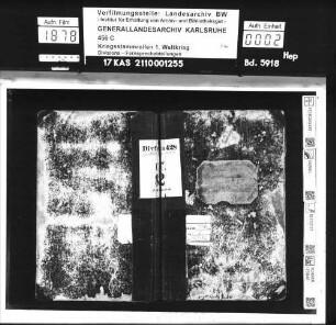 Divisions-Fernsprechabteilung 428 [Divferna 428]