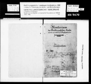 Die bei dem Maiaufstand 1849 beteiligten Ausländer, deren Gefangennahme und Auslieferung etc.