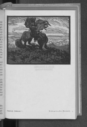Friedrich Lißmann: Kämpfende Ponys