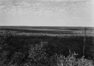 Landschaft des Pantanal : Ausblick von einem Tafelberg auf die Landschaft des südlichen Pantanal nahe der Stadt Nioaque.