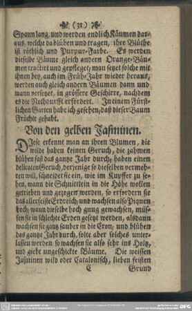 Von den gelben Jasminen
