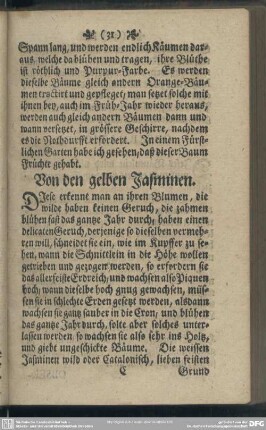 Von den gelben Jasminen