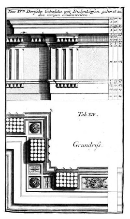 Tab. XIV. - Grundriss - Das IV te Dorische Gebälcke mit Balckenköpfen/Dielenköpfen