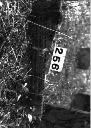 Grabstein 256