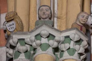 Markuslöwe