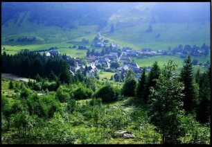 Menzenschwand: Hinterdorf von der Passstraße