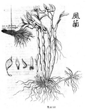 79