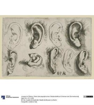 Ohren (druckgraphisches Studienblatt zum Erlernen der Zeichenkunst)