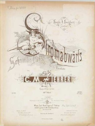 Stromabwärts : Schnell-Polka ; für d. Pianoforte ; op. 141