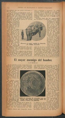 El mayor enemigo del hombre - las moscas