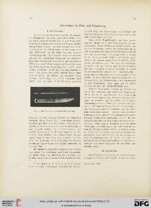 7.1904: Altertümer in Pola und Umgebung