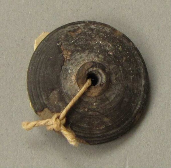 spindle whorl