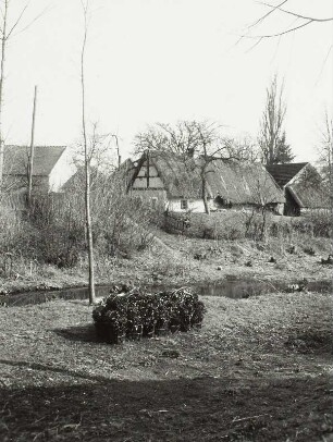 Buchwalde