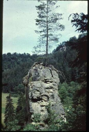 Wutachschlucht im Schwarzwald