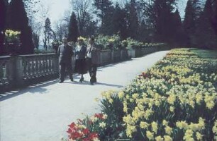 Insel Mainau. Schloßpark, Weg an der Balustrade