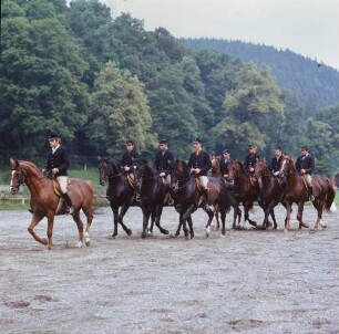 Marbacher Gestüt. Probe zur Quadrille der Hengste auf dem Reitplatz des Gestütes