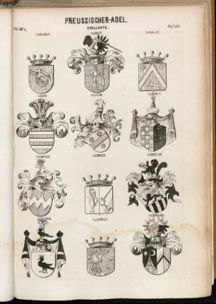 Taf. 138. Cabanes. - Caden. - Caillat. - Calbo. - Calcum. - Campe I. - Campe II. - Campier. - Campe III. - Canstein. - Cardinal. - Capeller