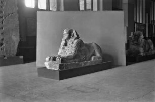 Sphinx
