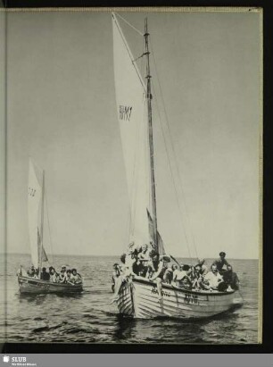 115 Erfüllte Träume