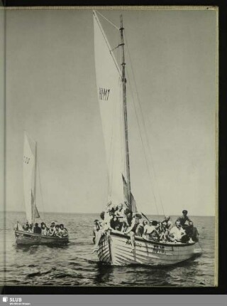 115 Erfüllte Träume