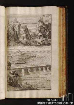 Tab. LVII.