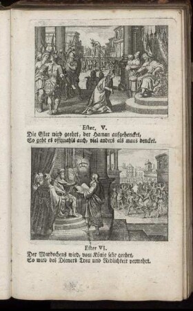 [Abb.] Ester. V. - [Abb.] II. Maccab. XII.