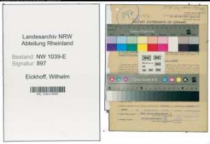Entnazifizierung Wilhelm Eickhoff , geb. 26.04.1909 (Pathologe)