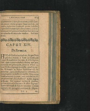 Caput XIV. De Formica.