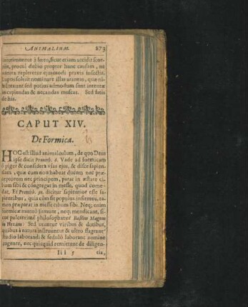 Caput XIV. De Formica.