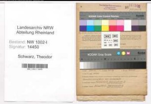Entnazifizierung Theodor Schwarz, geb. 02.08.1907 (Techn.Angestellter)