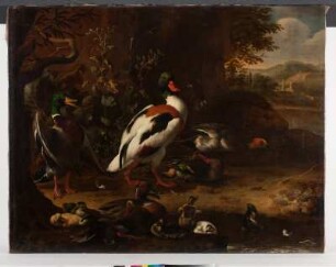 Enten am Waldrand