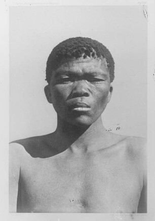 Afrikaner (Sammlung Richard Wegner 1869/1931)