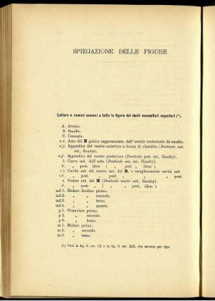 Spiegazione Delle Figure