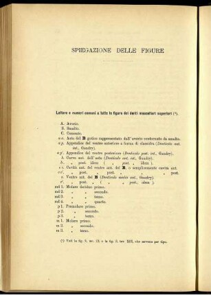 Spiegazione Delle Figure